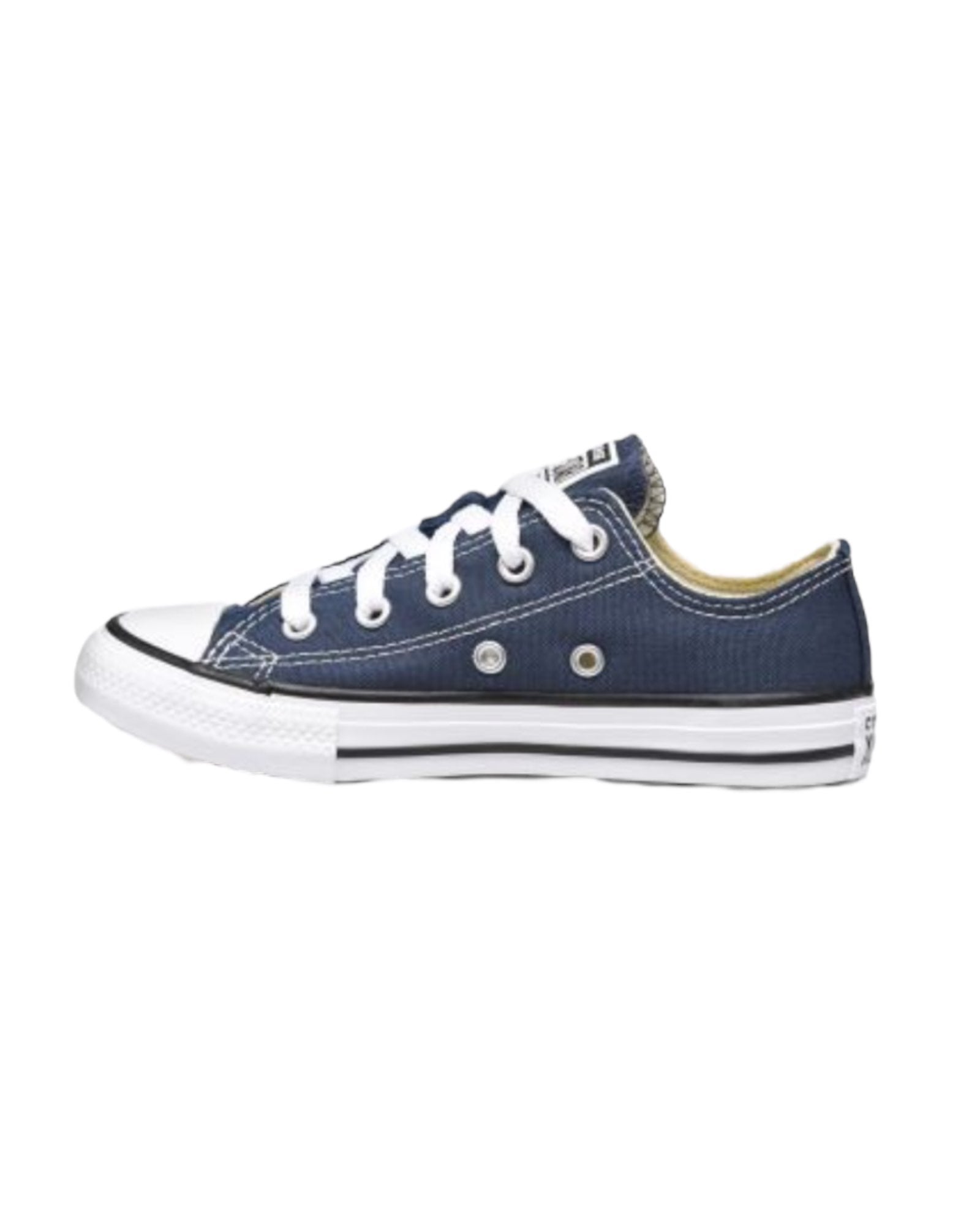 Converse Bassa
