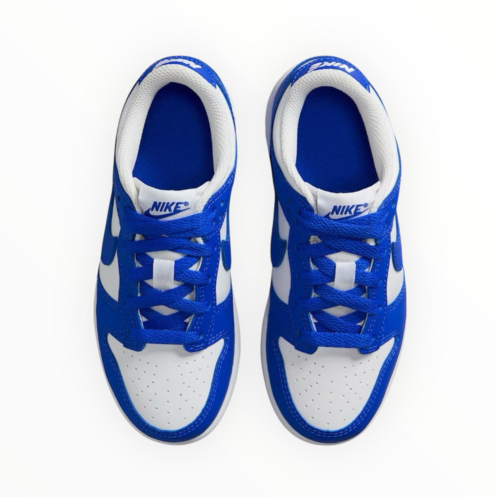 Nike dunk low ps