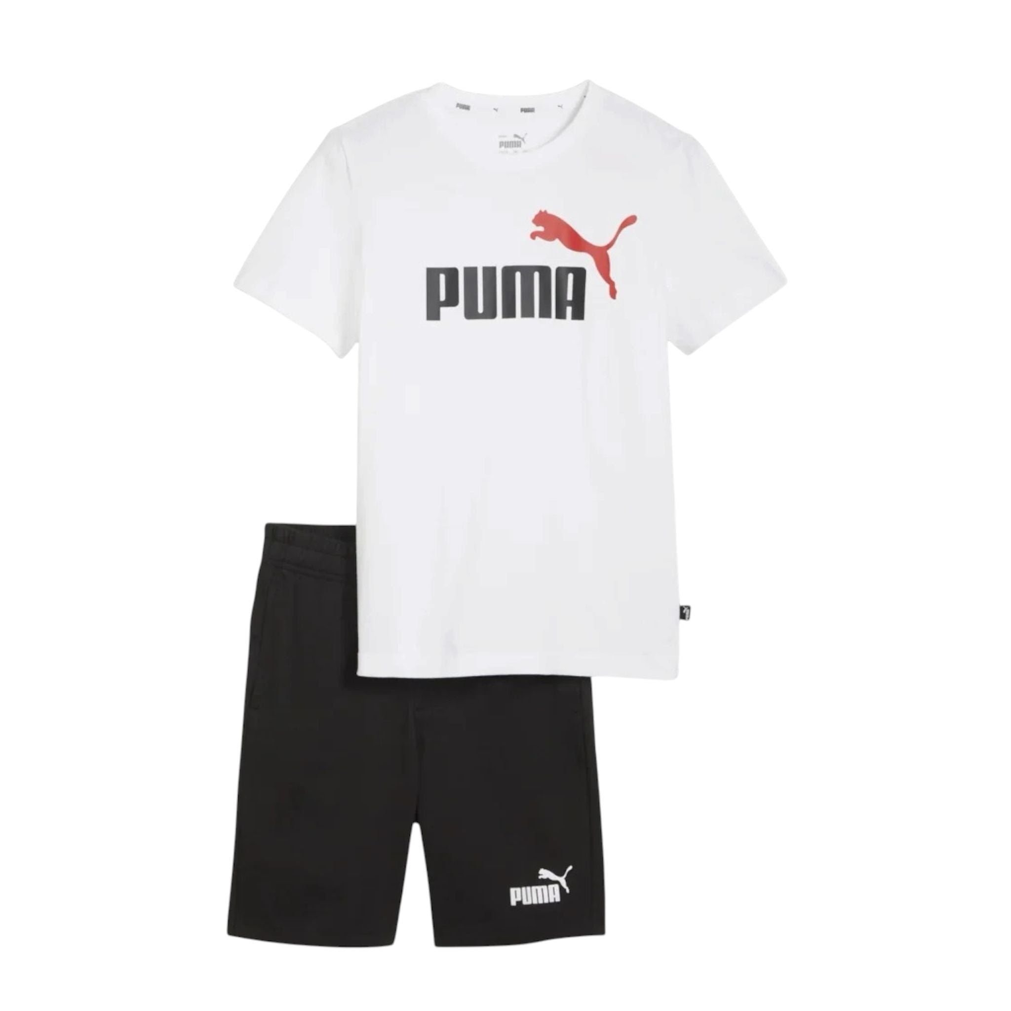 COMPLETINO PUMA JR