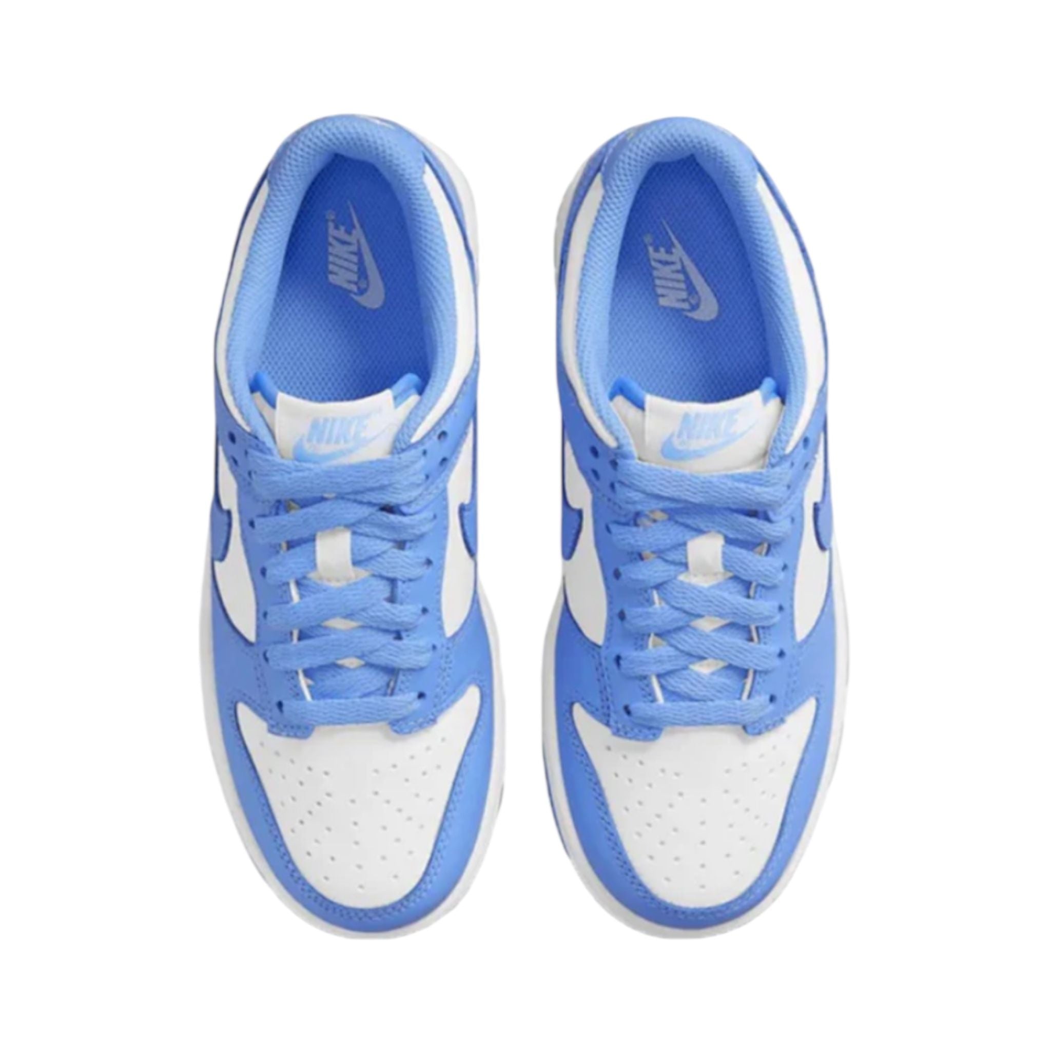 NIKE DUNK GS CW1590 103