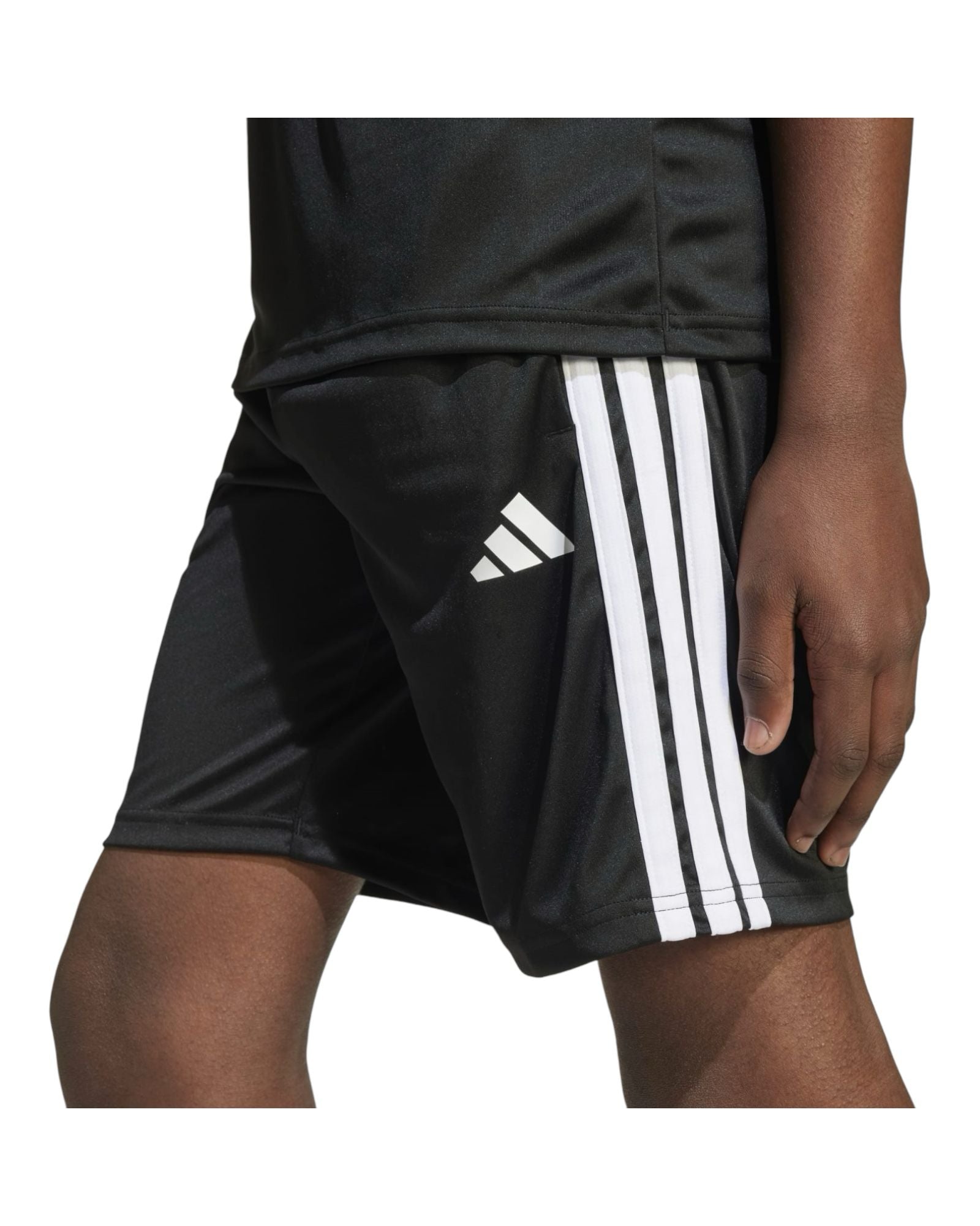 T Shirt e Short Adidas