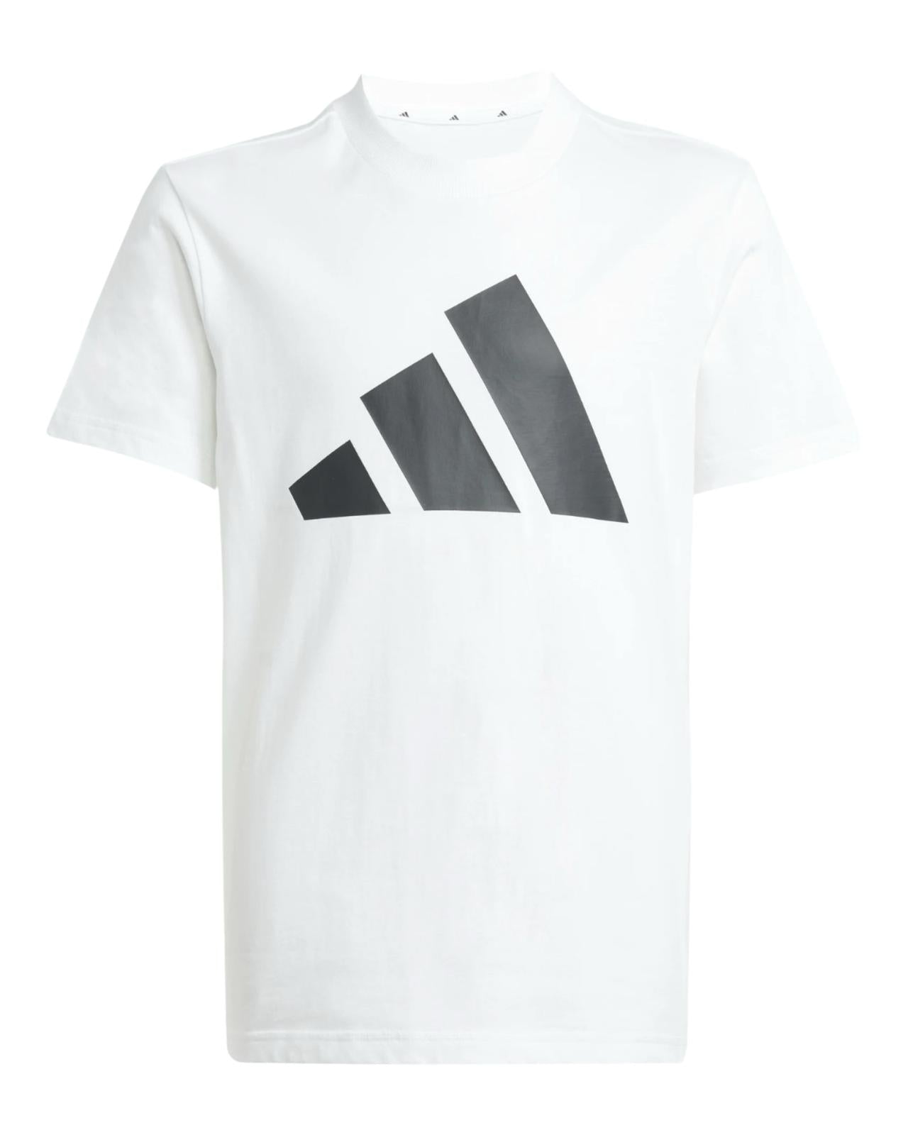 T Shirt e Short Adidas