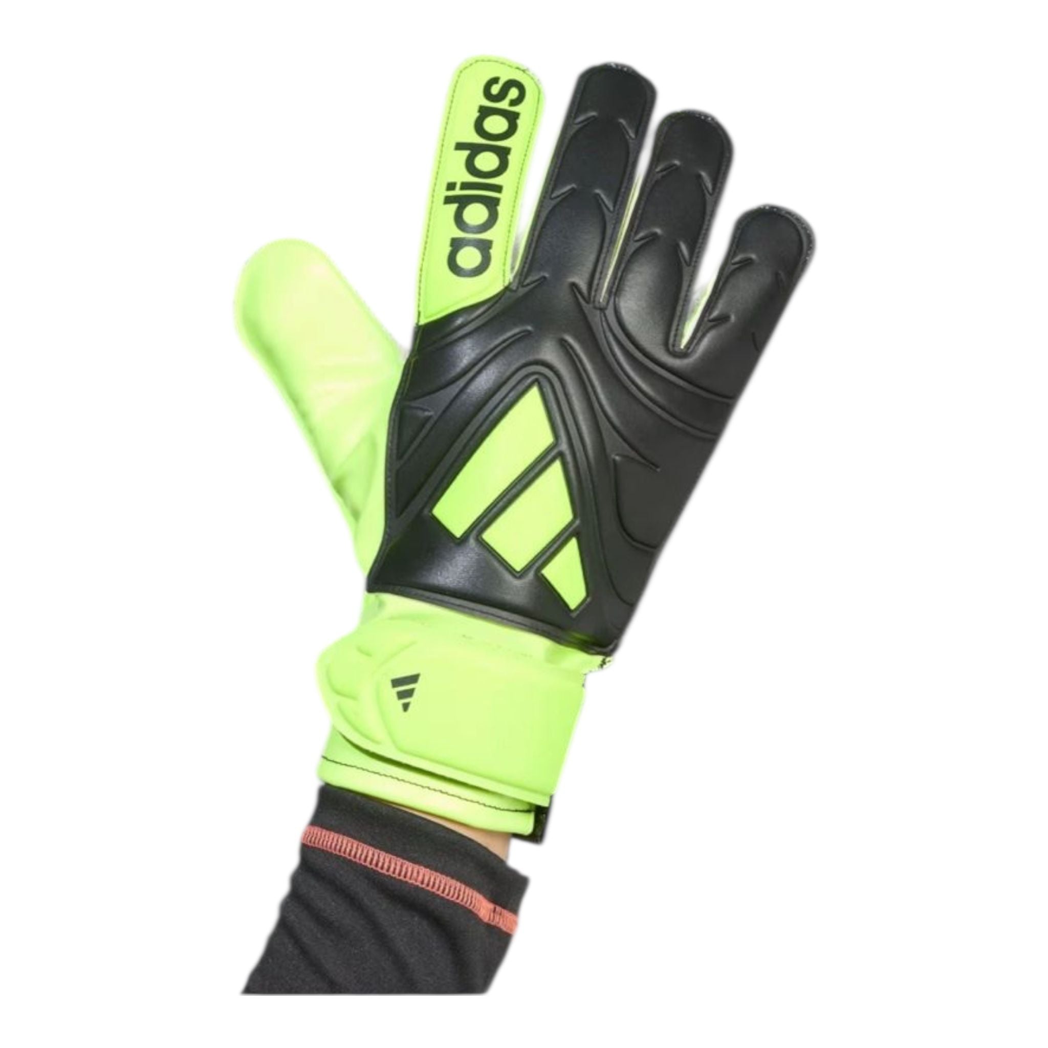 Guanti portiere copa jr