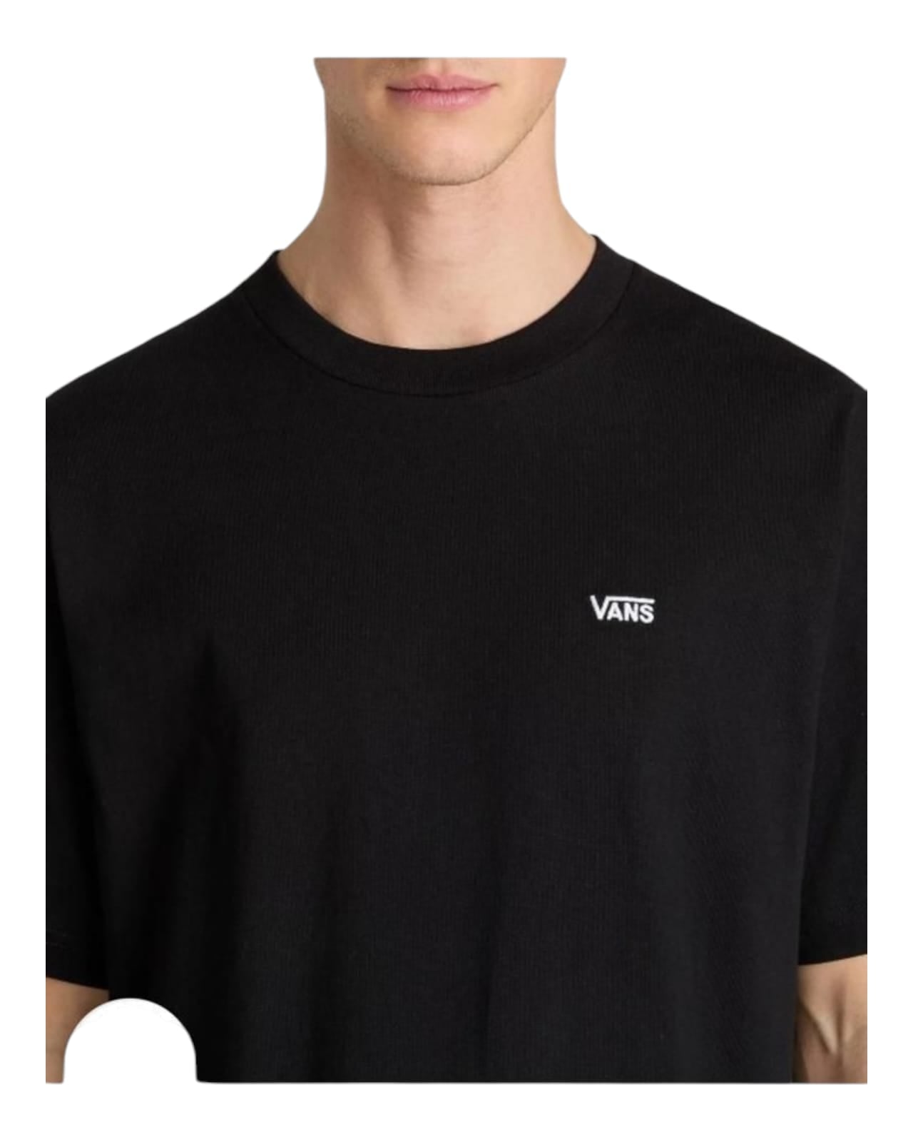 T Shirt Vans