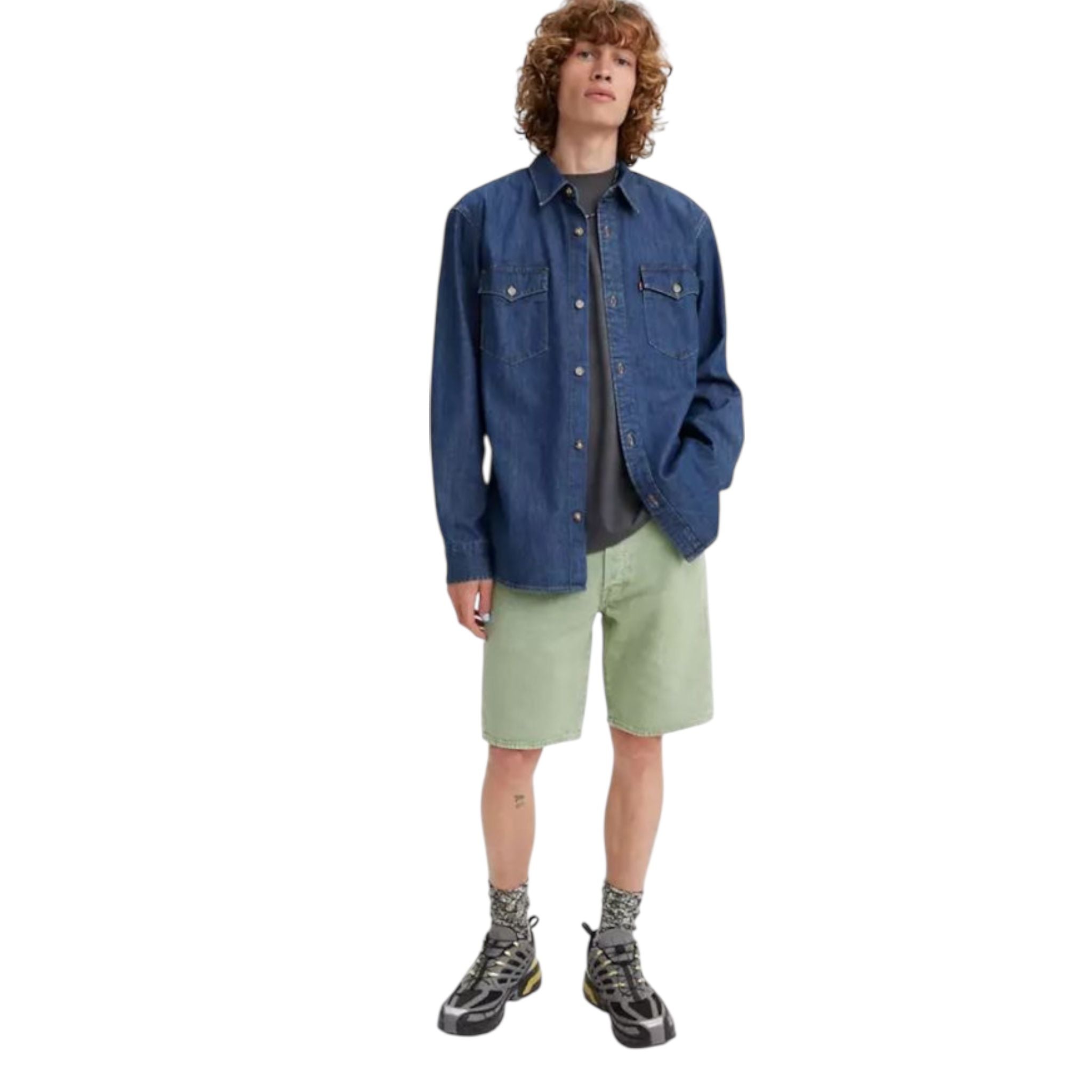 BERMUDA jr