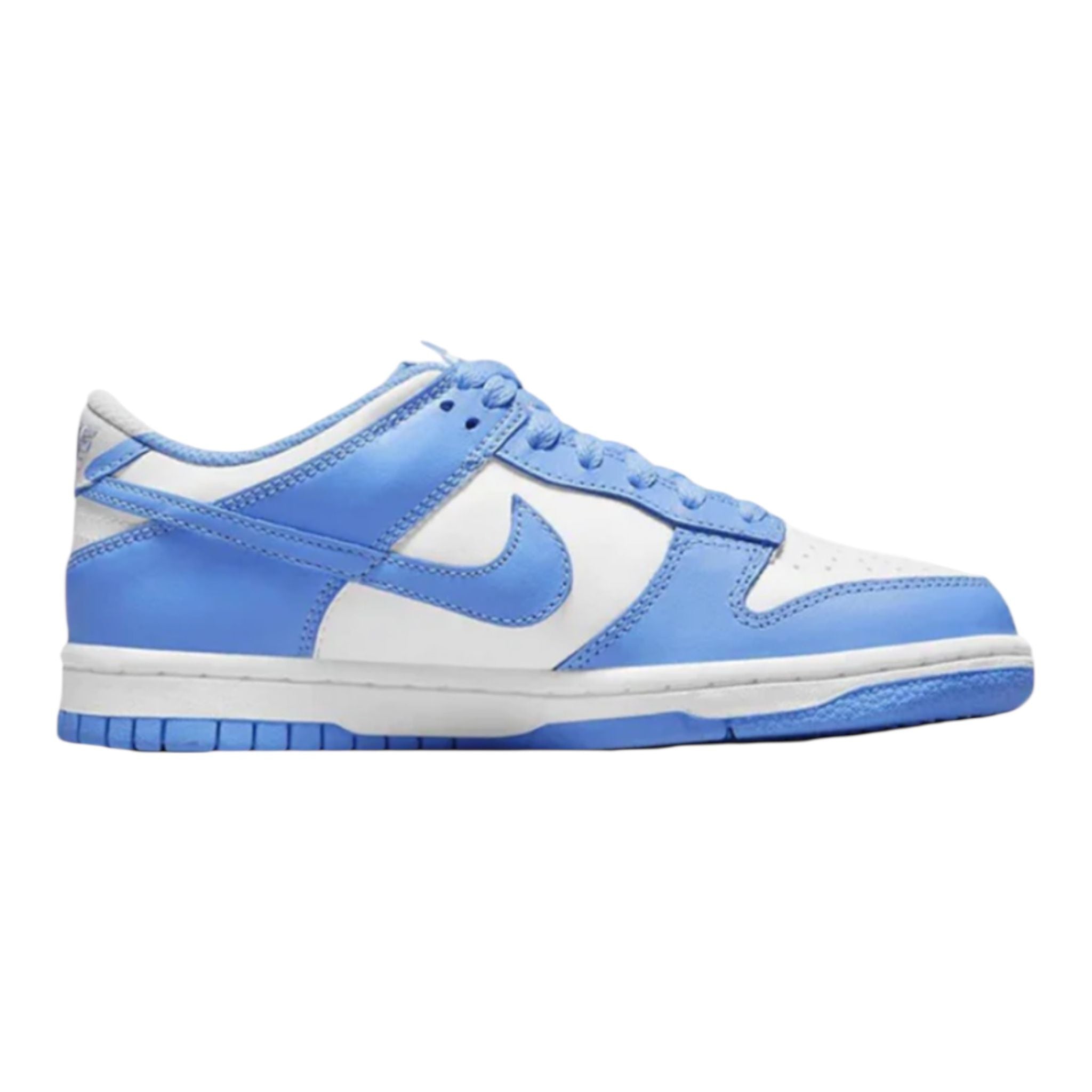 NIKE DUNK GS CW1590 103