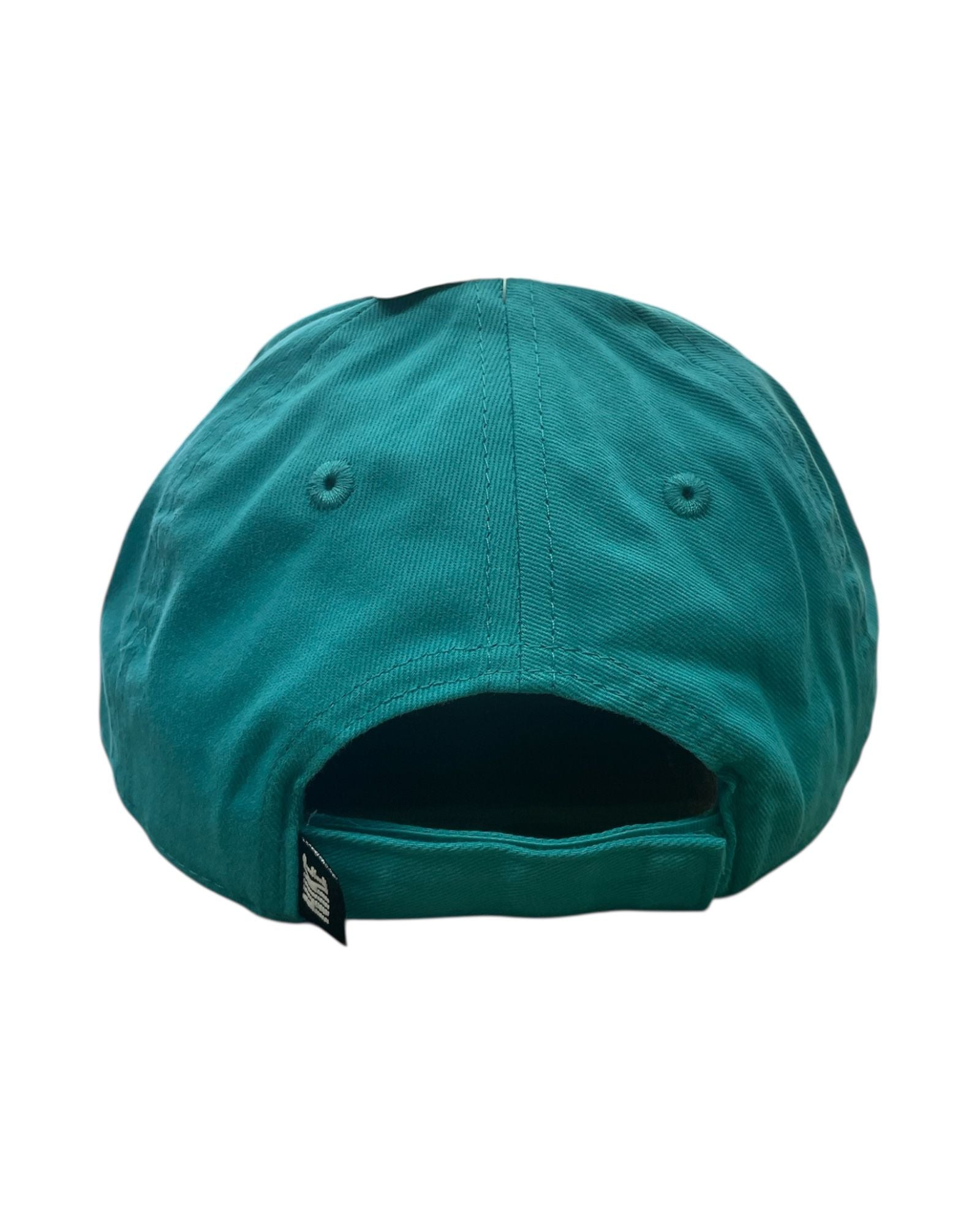 Futura Curve Brim 4-7ANNI