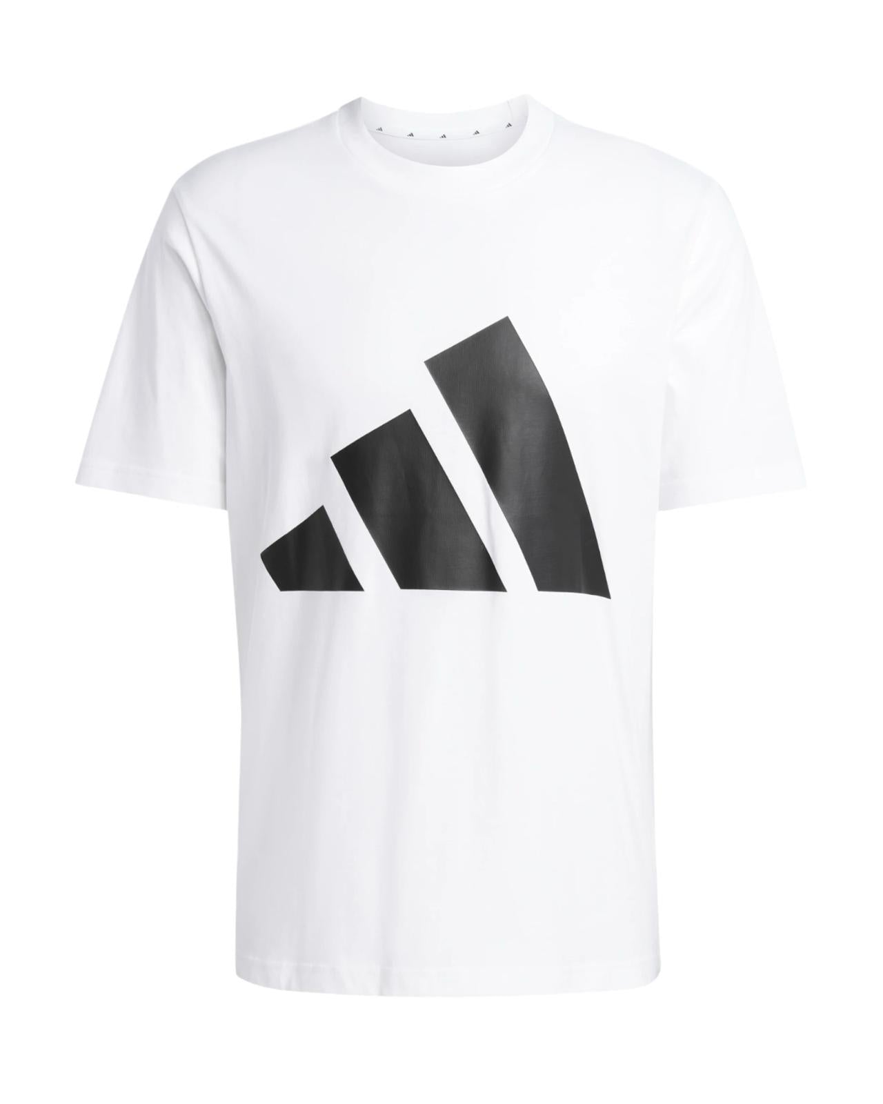 T Shirt e Short Adidas