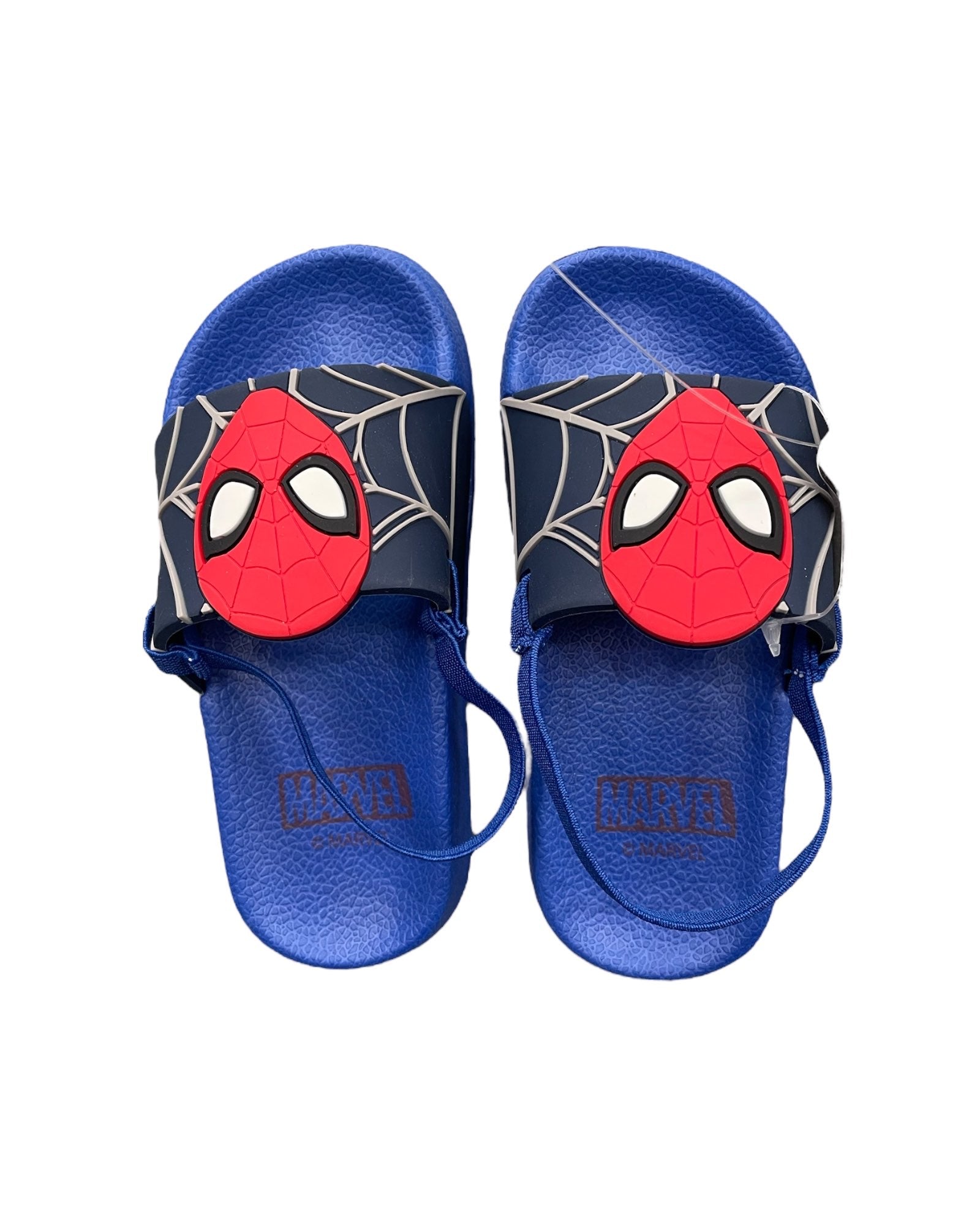 SPIDER
