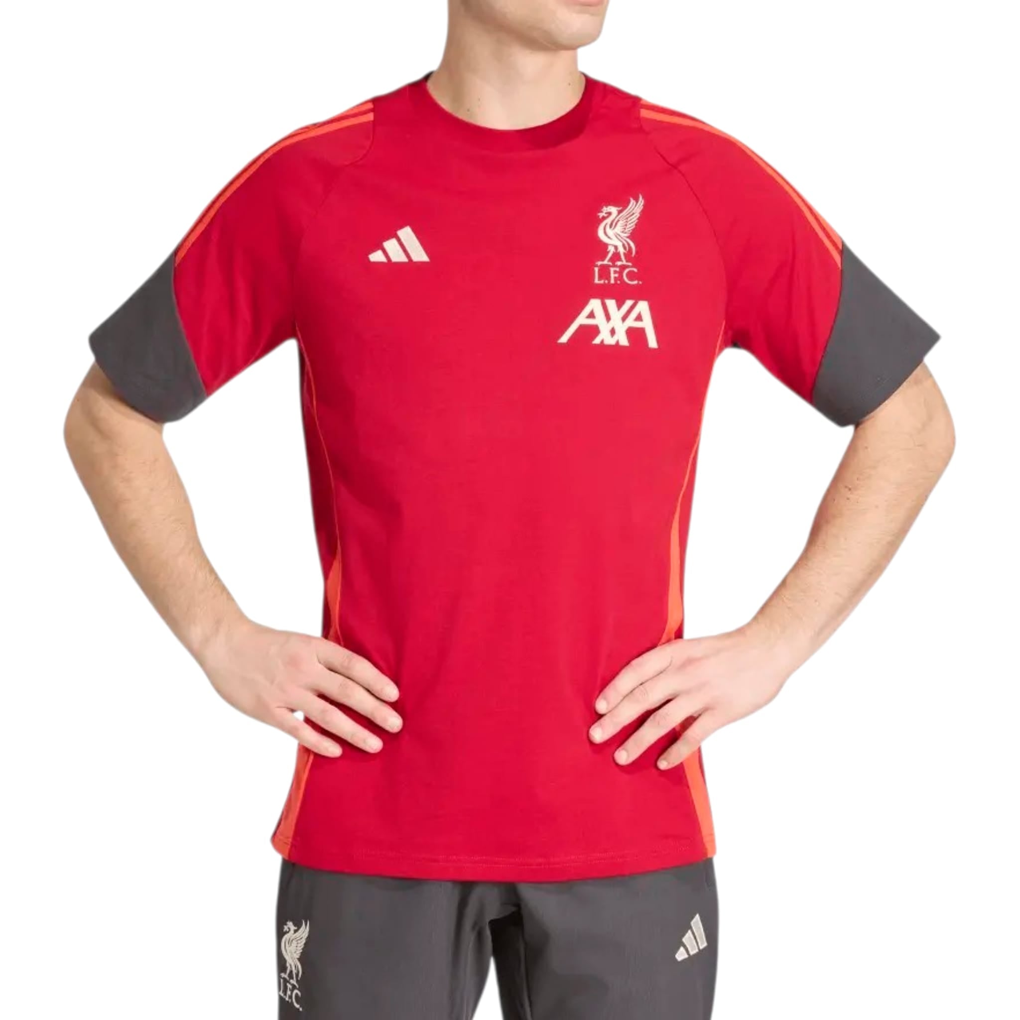 COMPLETINO LIVERPOOL KB1463