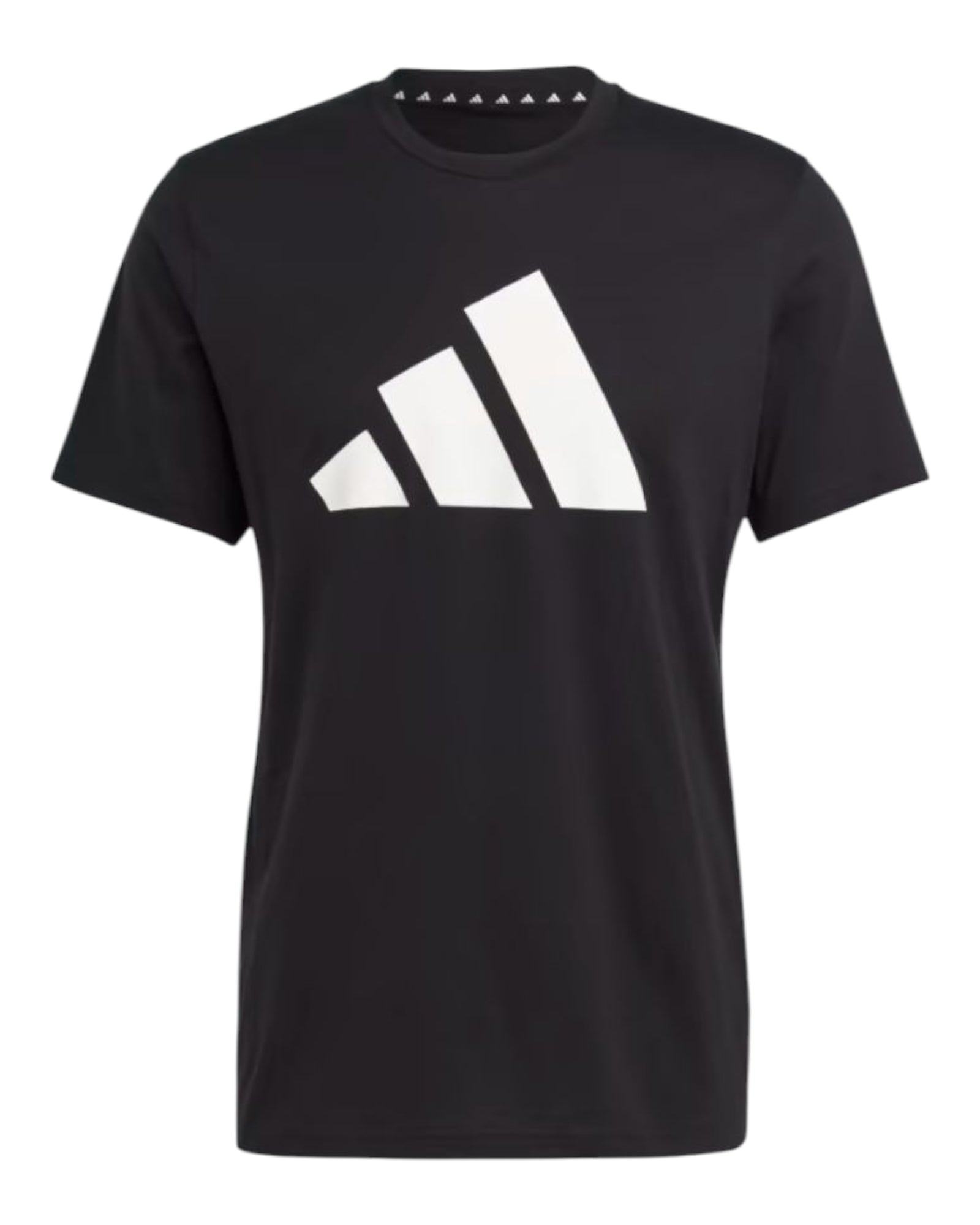 T Shirt e Short Adidas
