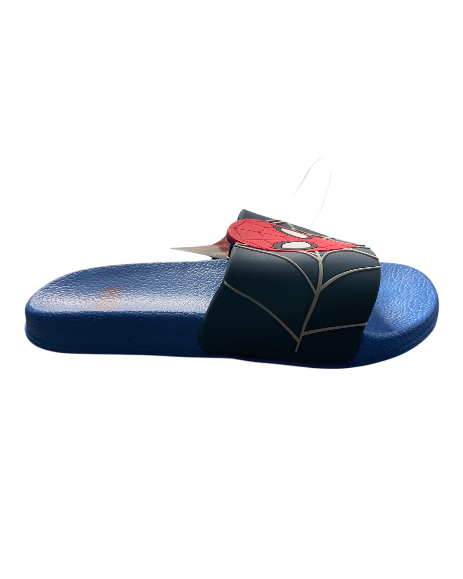 SPIDER
