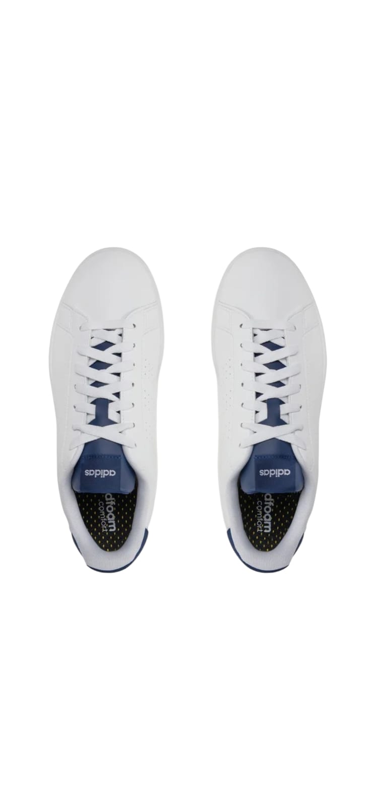 Adidas Advantage
