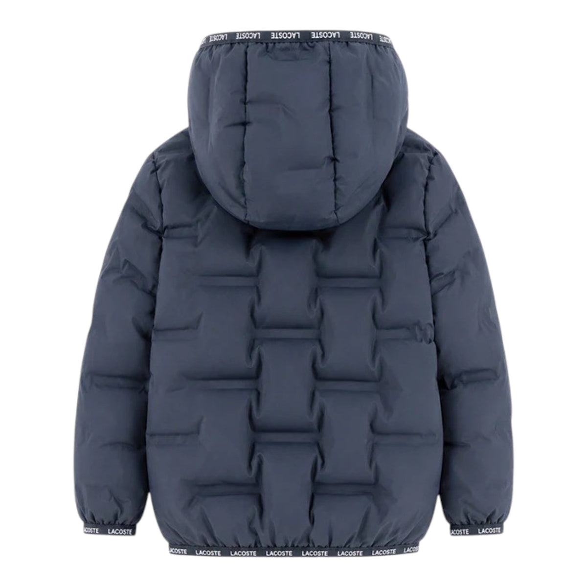 PIUMINO LACOSTE JR