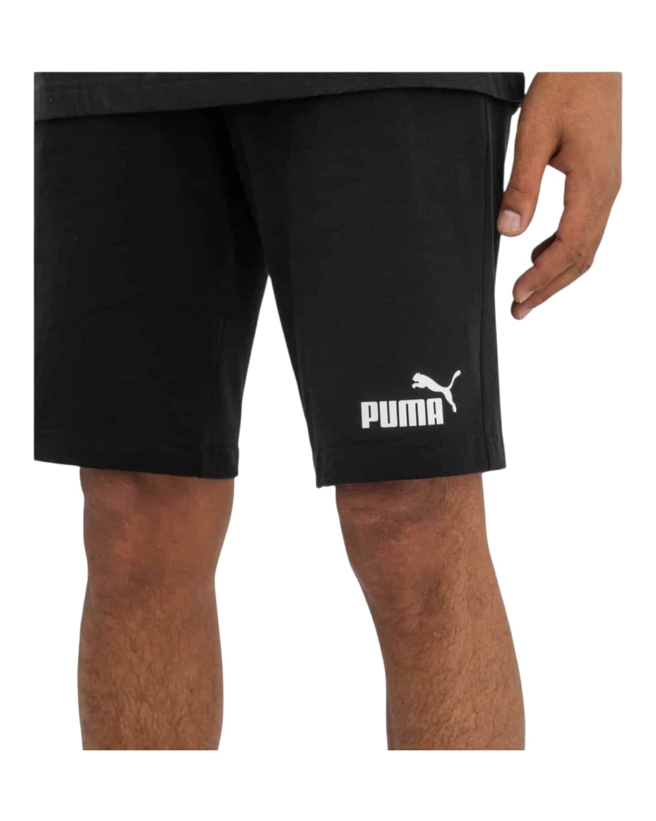 Short Puma
