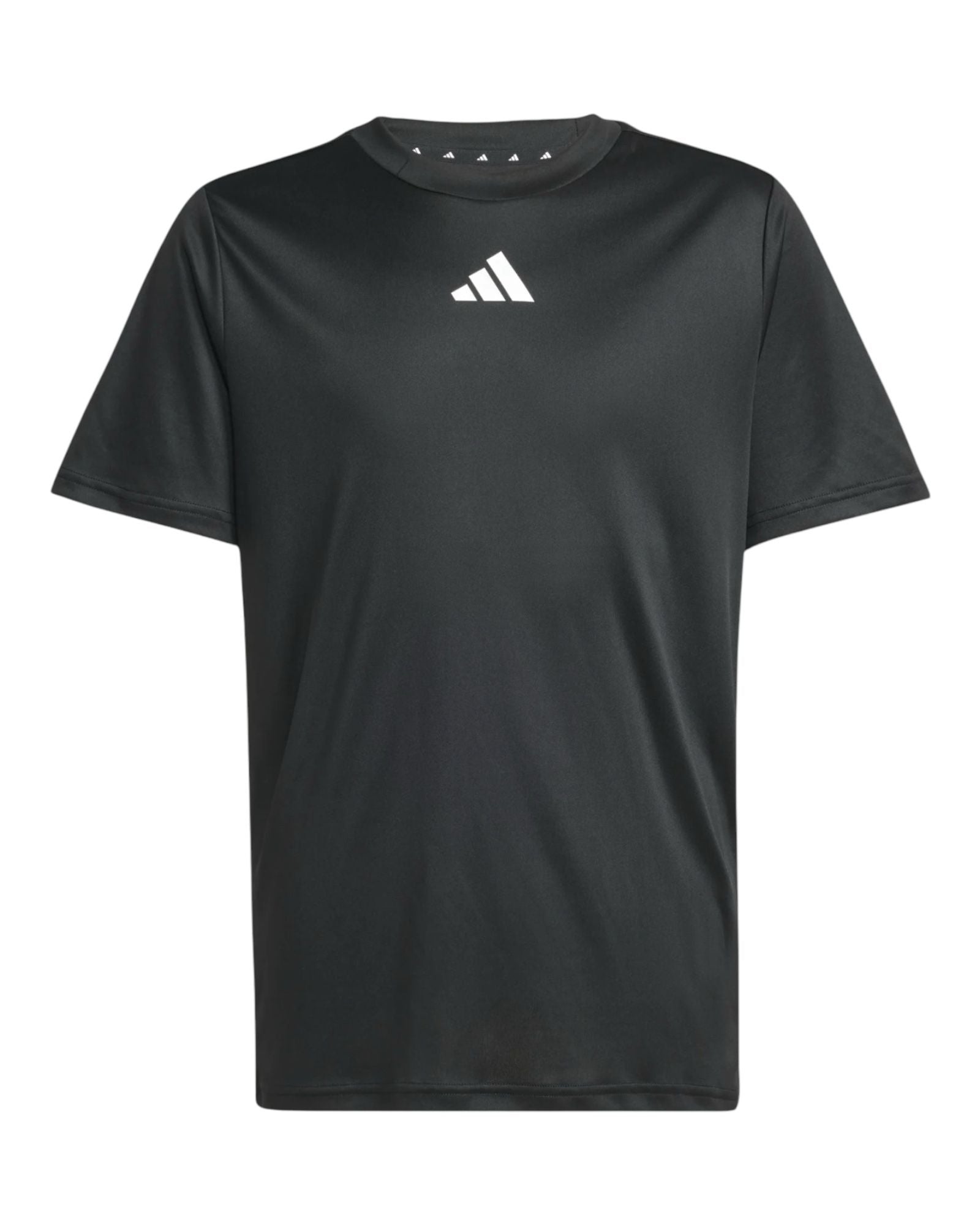 T Shirt e Short Adidas