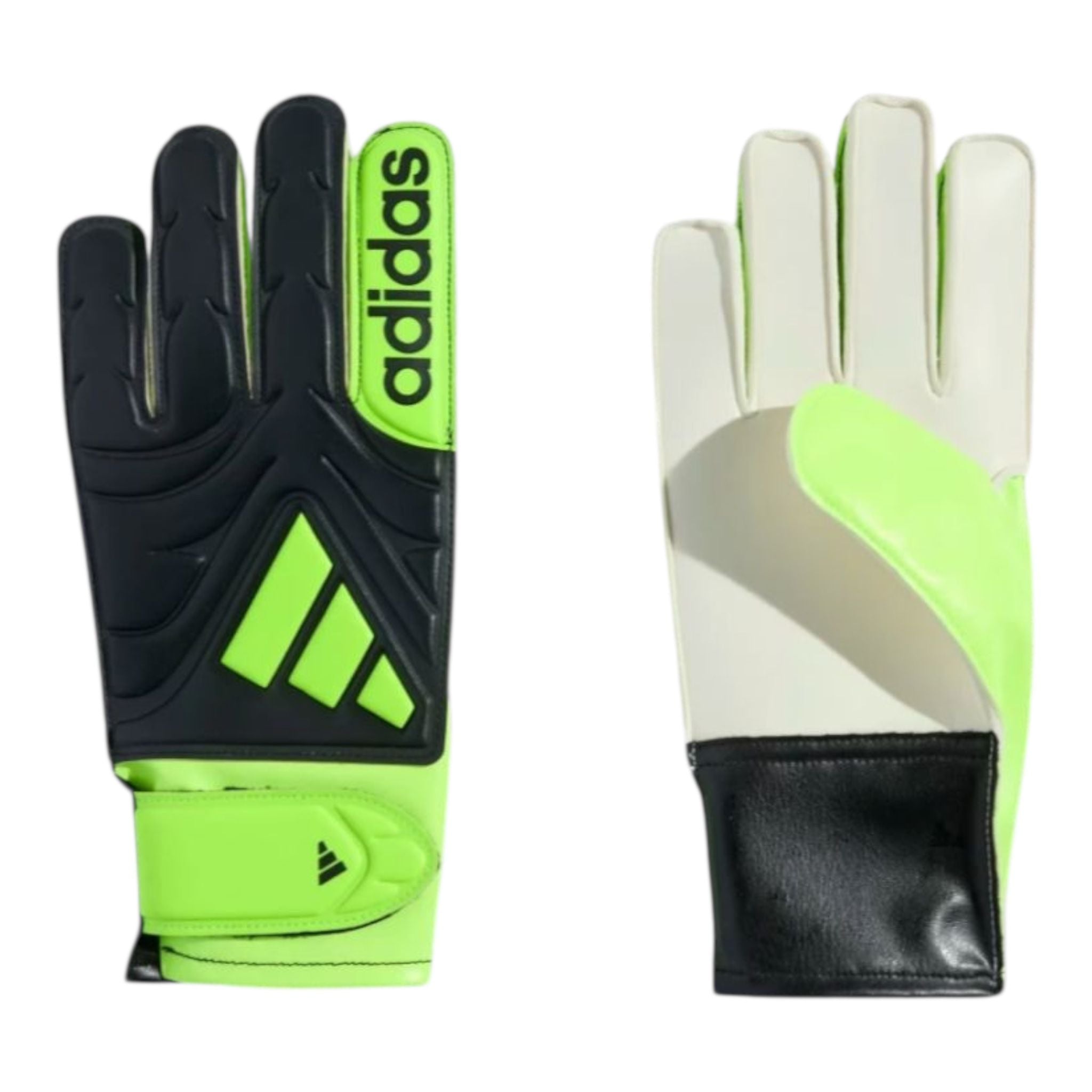 Guanti portiere copa jr