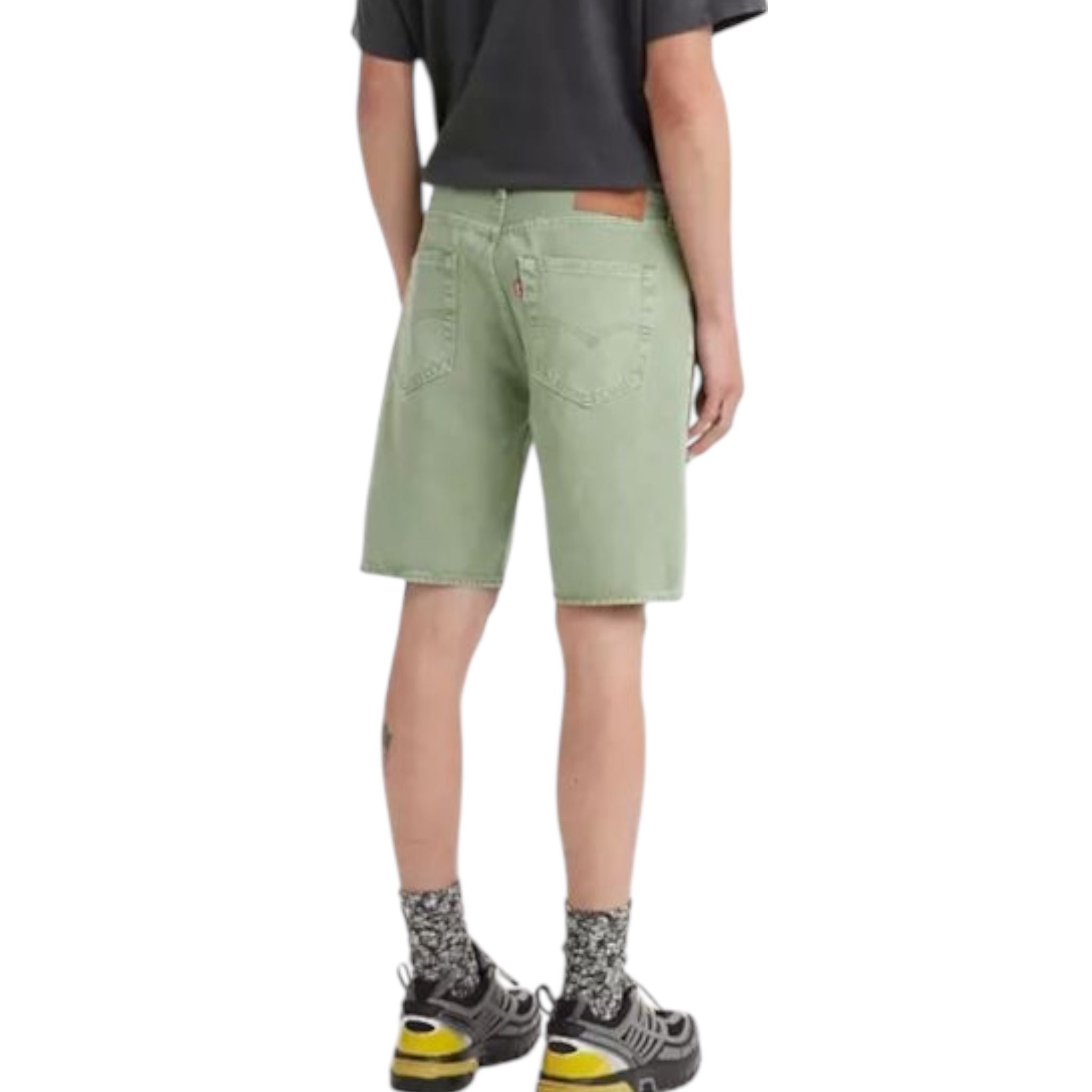 BERMUDA jr