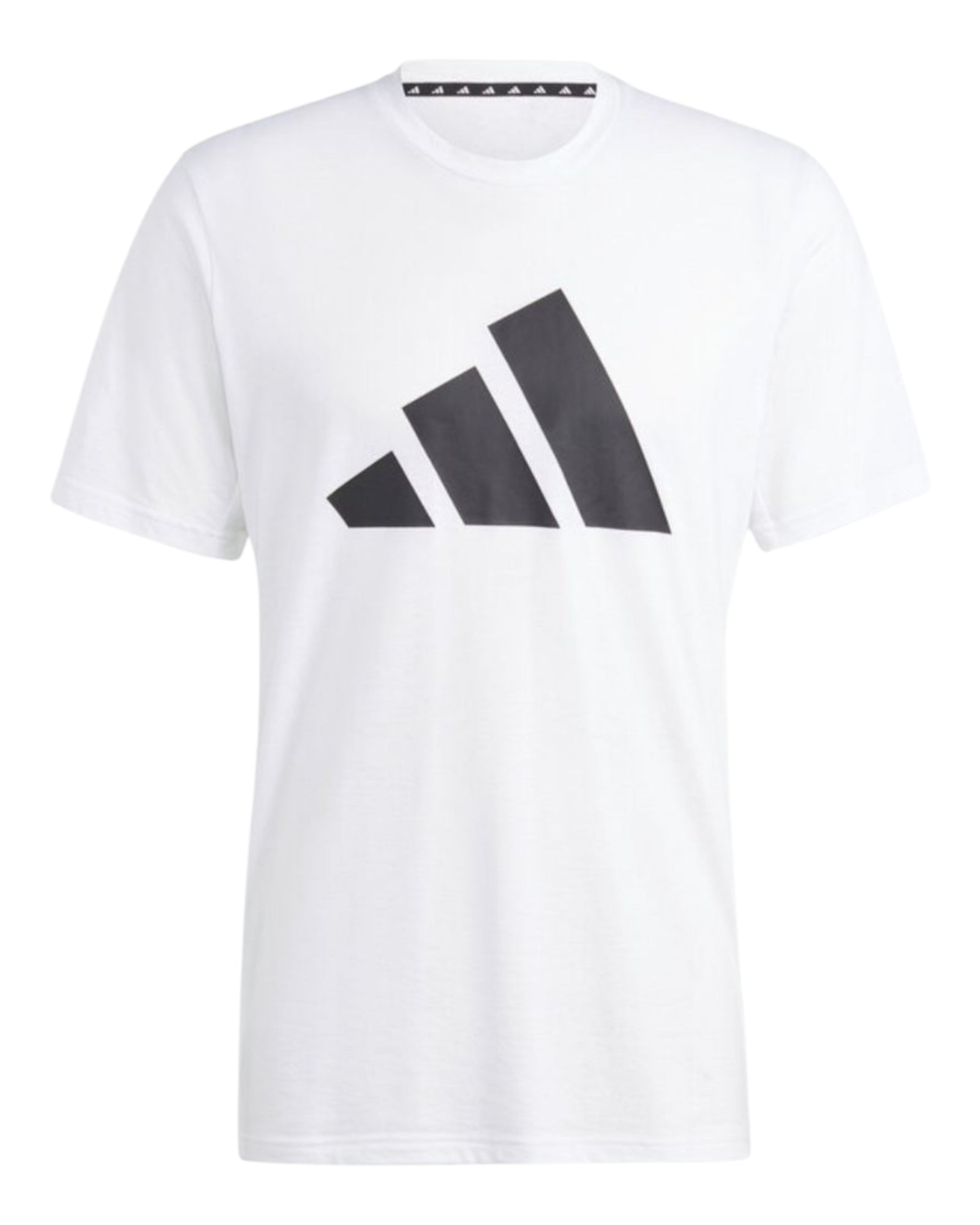 T Shirt e Short Adidas