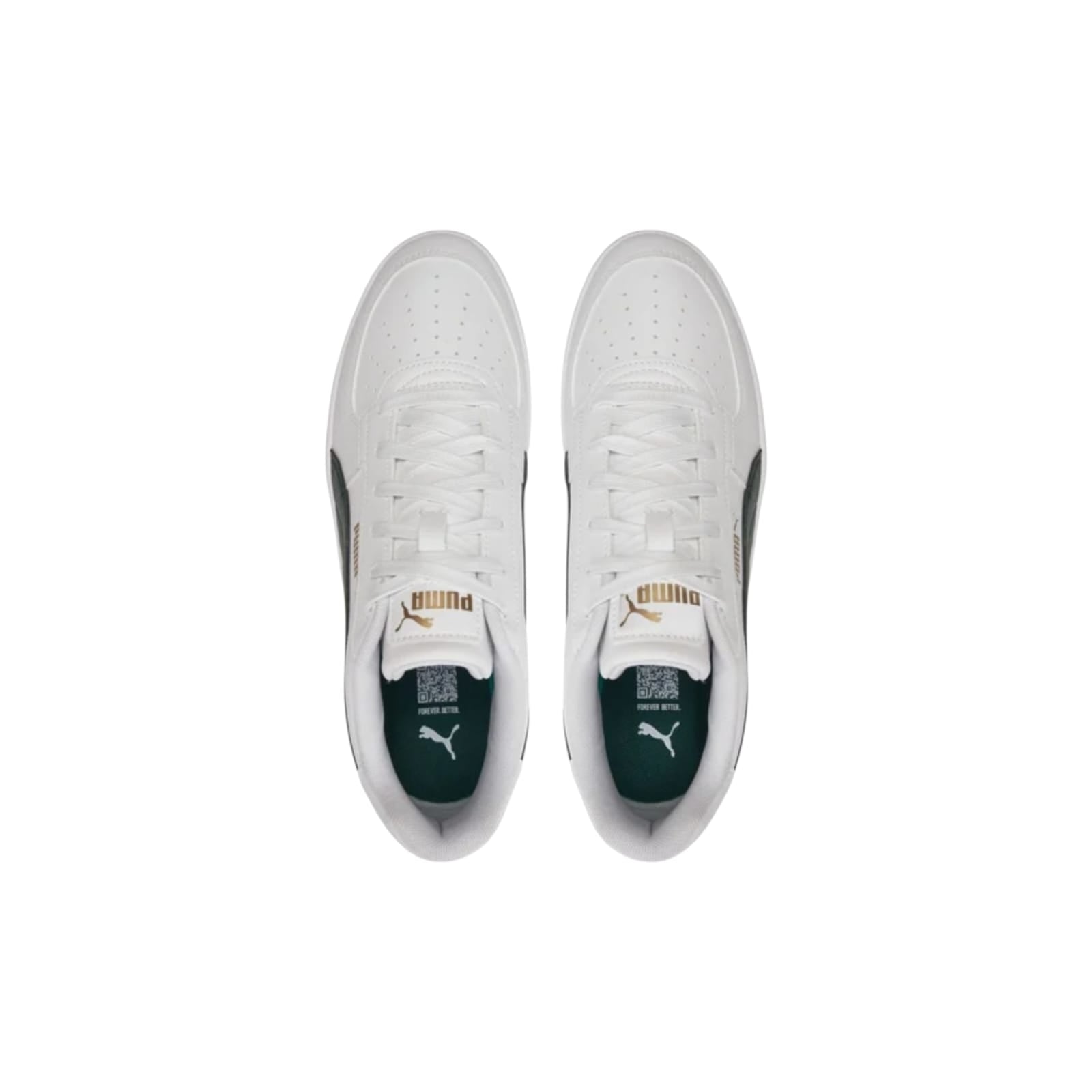 Puma Cave 2.0
