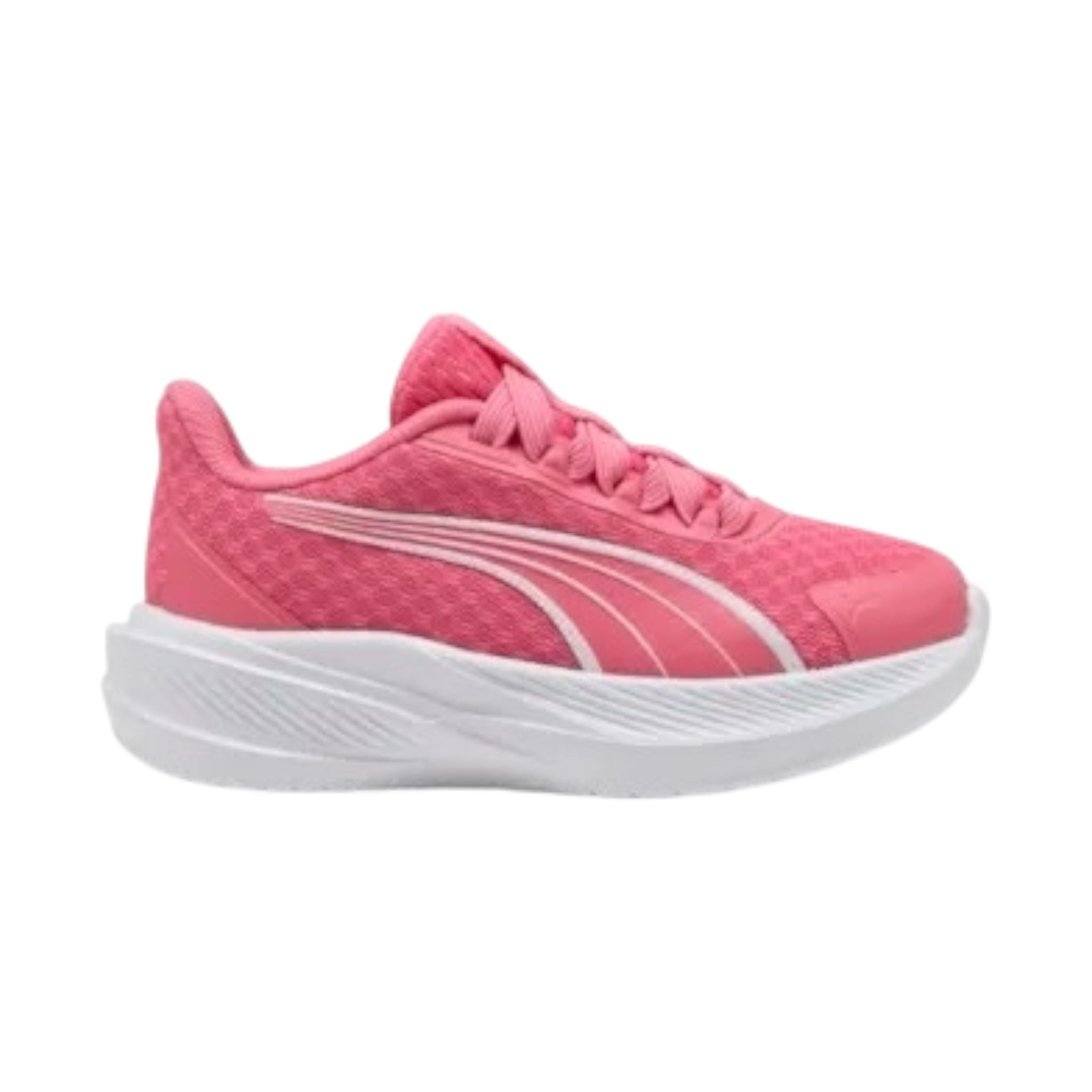 Puma Bambina