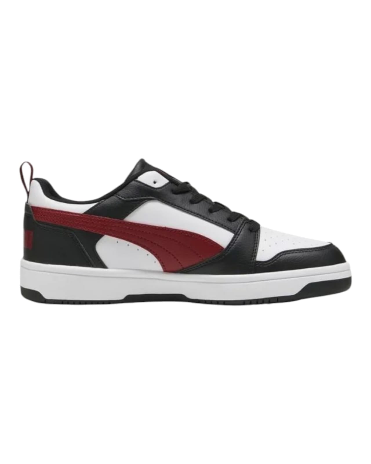 Puma rebound