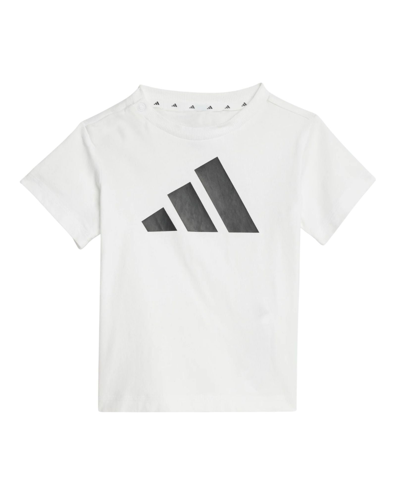T Shirt e Short Adidas