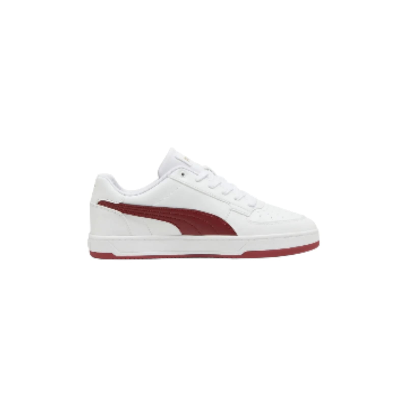Puma Cave 2.0