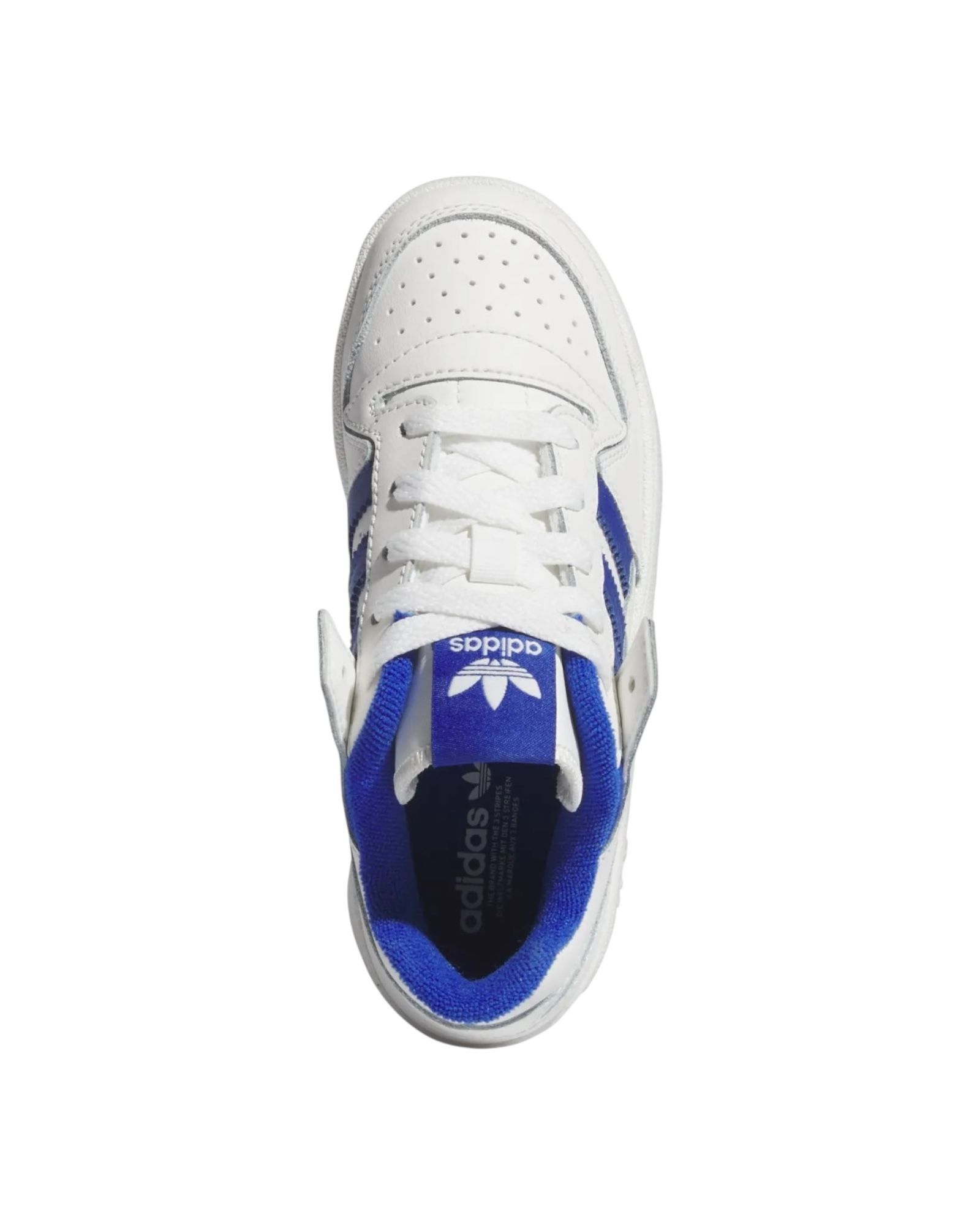 FORUM LOW CL