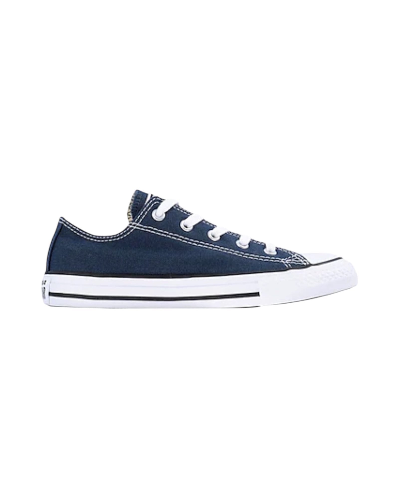 Converse Bassa