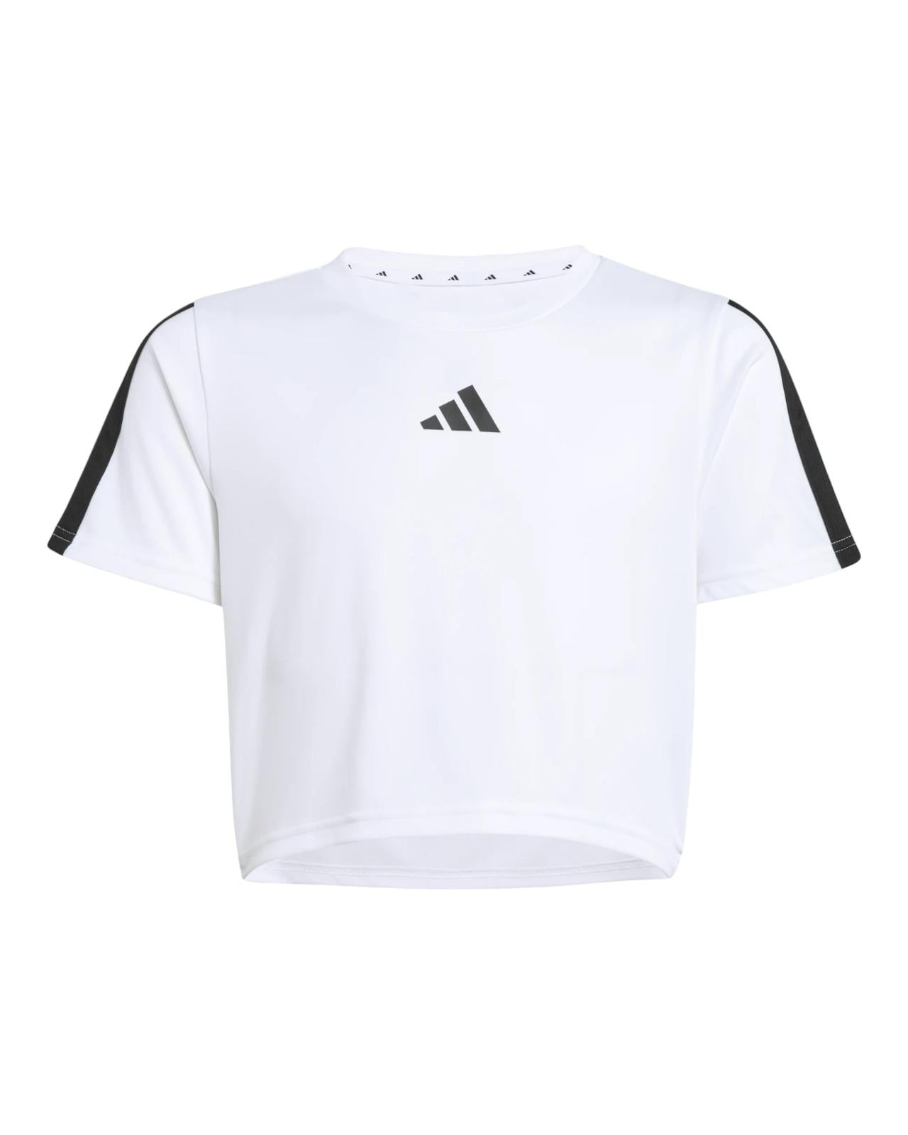 T Shirt e Short Adidas